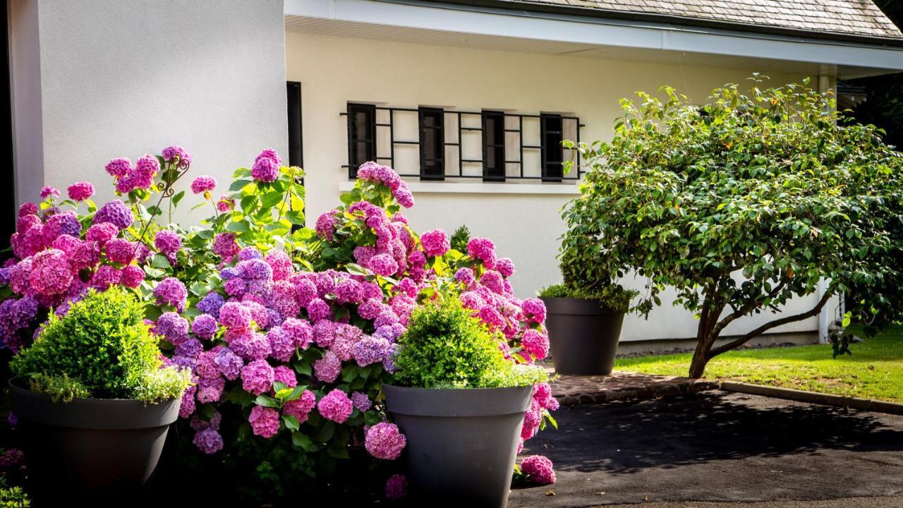 Le Champ Du Renne Bed & Breakfast Льо Ман Екстериор снимка
